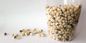 Explore the science of making soup from dried beans  / Hand-on STEM experiment
