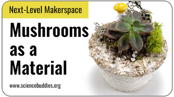 Next-Level Makerspace STEM: Flowerpot made from mushroom material