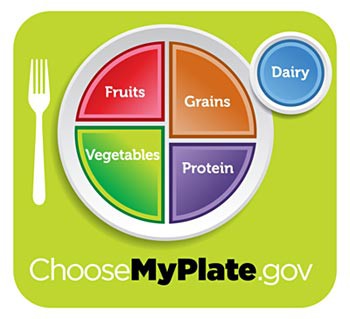 The recommended ratios of five food groups are displayed on a plate and cup, fruits, grains, vegetables, protein and dairy