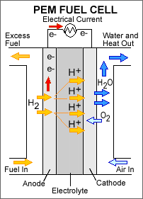 Diagram of how a proton exchange membrane fuel cell functions