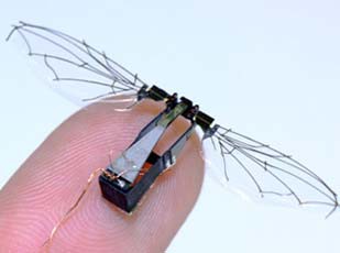 A flying robobee resting on a fingertip