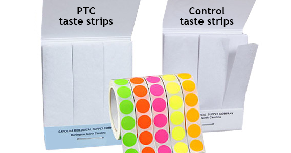 PTC and control strips for genetics activity