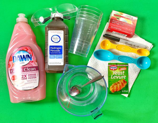 Materials needed for the 'Exploring Enzymes