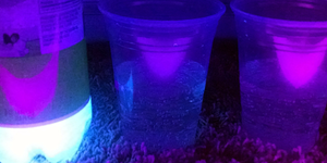 Seeing Tonic Water Glow: Weekly Science Activity