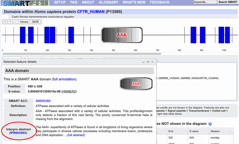 Screenshot of the protein sequence results page on the website smart.embl-heidelberg.de