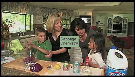 Video thumbnail of two women and two children in a kitchen
