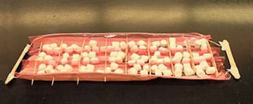 A photograph shows a hemoglobin protein model made by a student team. It looks like a tray made from paper, pink saran wrap, string, tape, wooden craft sticks and wooden cocktail sticks with three rows of eight square low-walled compartments (for a total of 28 compartments) that each hold four mini marshmallows. Two craft sticks at each end of the tray serve as handles.