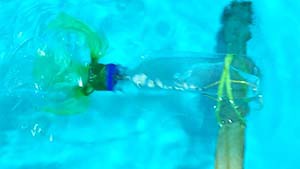 making plastic bottle submarine without fins 