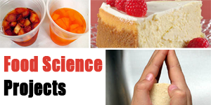 Food Science Projects for K-12 Students