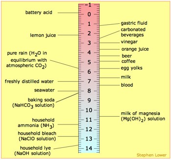 Diagram of a pH scale resembles a vertical ruler labeled from zero to fourteen