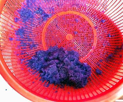 Red cabbage pulp in a strainer