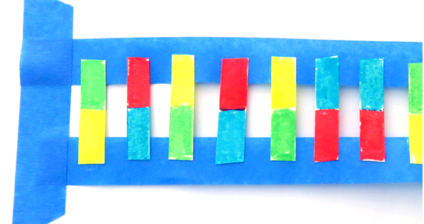 Paper DNA model made from colored paper and tape
