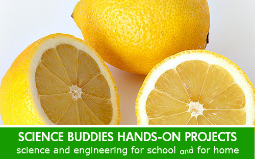 Tastebuds Human Health Science Project / Weekly Family Science Project Highlight