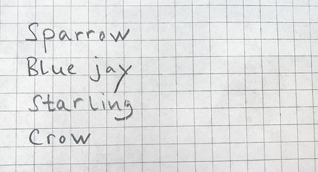 Sparrow, blue jay, starling and crow written on graph paper