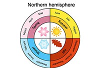A circle divided into the four seasons and their corresponding months for the Northern hemisphere. 