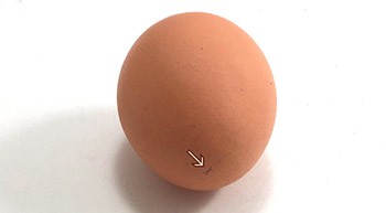 Egg with a small pencil mark on its tip.