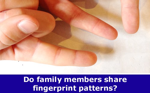 Three extended fingers with overlaid text that reads "Do family members share fingerprint patterns?"