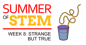Silly curvy, tall straw image to represent the Strange But True science theme for Week 8 of Summer of STEM with Science Buddies