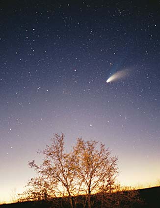 Brazilian Portuguese corpora for teaching and translation: the CoMET  project