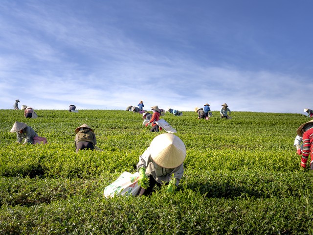 farm workers