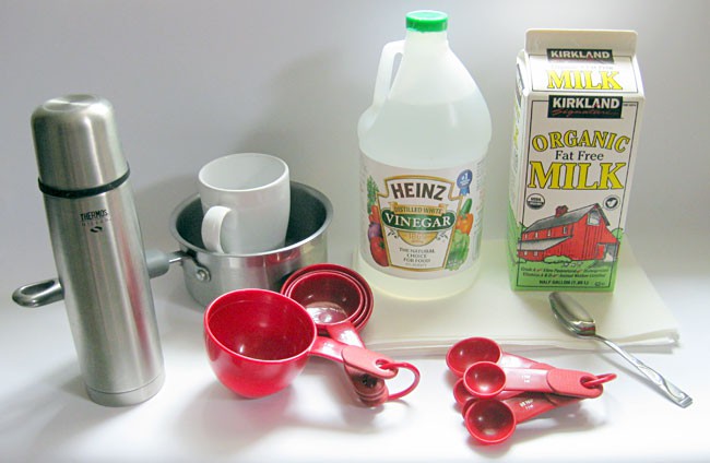 materials for milk into plastic student activity