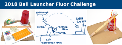  A banner encouraging students to try the ball launcher the 2018 Fluor Engineering Challenge. 