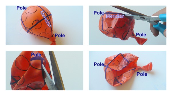 collage of pictures illustrating how to cut the balloon from the knot to the top along a meridian. 