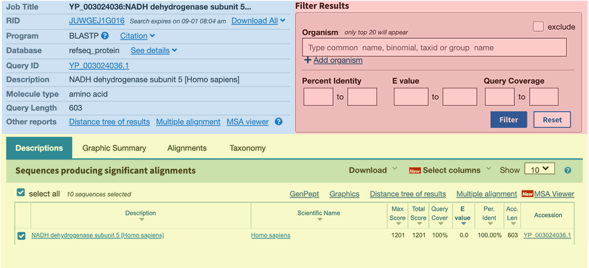 Results from a BLAST search generate a graph of alignment scores and a result list of matching accessions