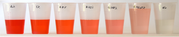 Seven plastic cups filled with a red liquid of decreasing concentrations
