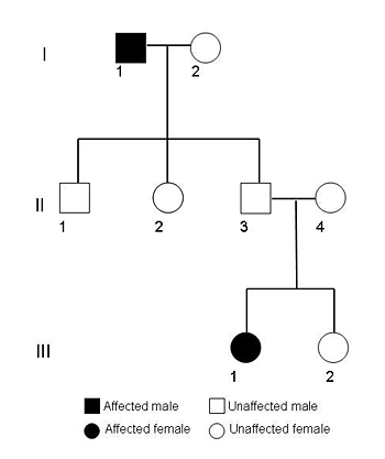 A pedigree tree shows a recessive trait only appearing in a grandfather and granddaughter