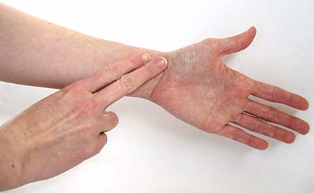 Two fingers are pressed against the inside of a wrist to find the radial pulse