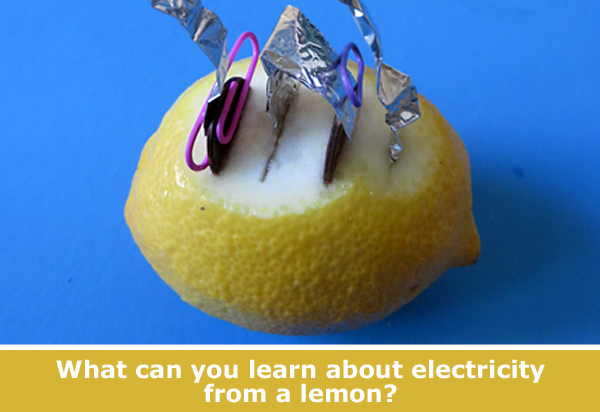 Lemon Battery / Hands-on science activity