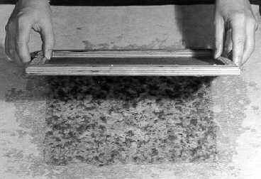 Black and white photo of a sheet of recycled paper separating from a screen