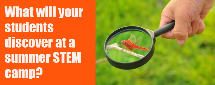 A dragonfly standing on top of a magnifying glass
