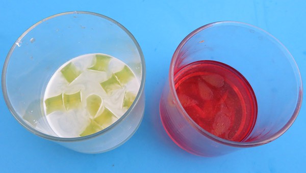 Small jello pieces are submerged in proteases solution and red colored water side-by-side