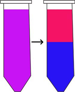 Drawing of a solution in a tube and the solution seperating into precipitate and supemate