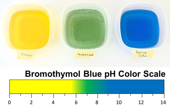 Three plastic containers filled with yellow, green and blue liquid next to a drawn Bromothymol Blue pH color scale