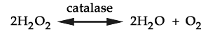 Chemical equation for catalase breaking down hydrogen peroxide into water and oxygen