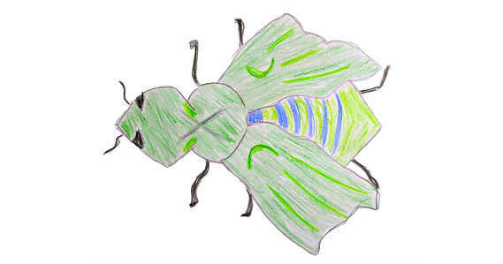 Colored insect that student has designed to live in a specific habitat