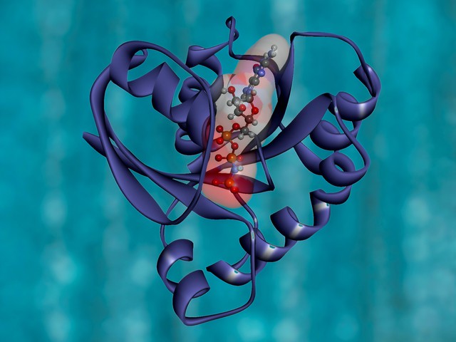 protein structure