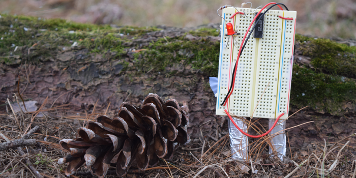 A homemade soil moisture sensor inserted into the ground next to a pinecone
