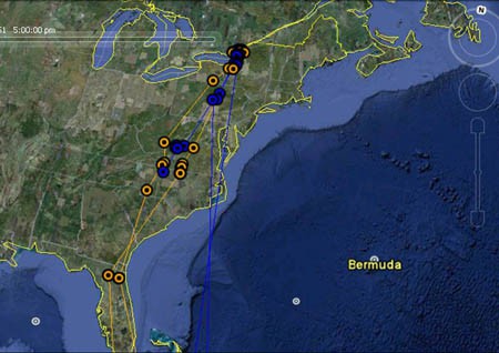 Satellite image of the east coast of the United States with markers placed along the migratory track of two ospreys