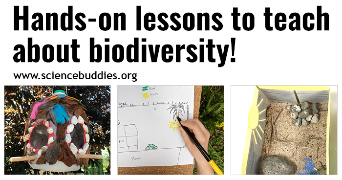 Image of homemade bird feeder, shoebox habitat, and student making species map to represent collection of STEM lessons and activities to teach about biodiversity