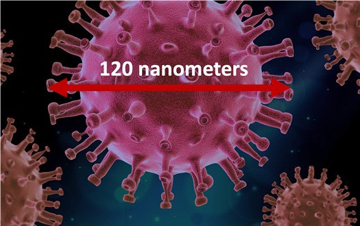  Image of a coronavirus particle with spikes. A scale bar across the virus particle reads 120 nanometers. 