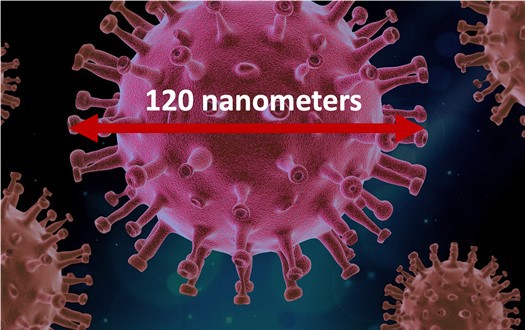 Image of a coronavirus particle with spikes. A scale bar across the virus particle reads 120 nanometers.