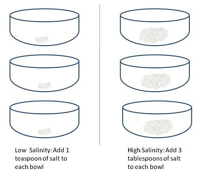 Drawing of three bowls with a teaspoon of salt each and three bowls with three teaspoons of salt each