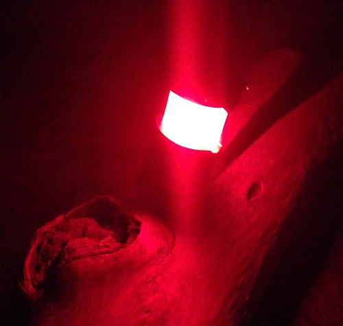 A red light illuminates a tree trunk in the dark