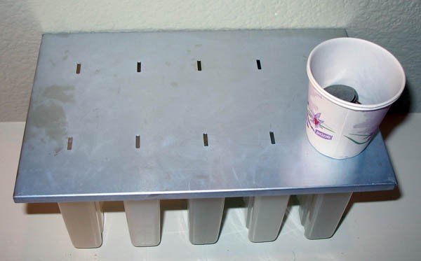 Several coins rest inside a paper cup that sits on the lid of a popsicle mold