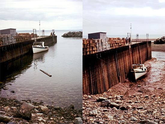 Side by side photo of high tide and low tide in the Bay of Fundy