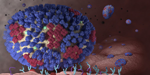 Flu virus representation/ CDC / Douglas E. Jordan